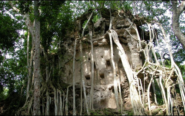 Se busca proteger la selva de Campeche de la explotación. EFE/INAH/ARCHIVO