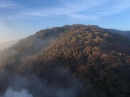 La superficie afectada por el sinisetro aún no se confirma. ESPECIAL / Protección Civil Jalisco