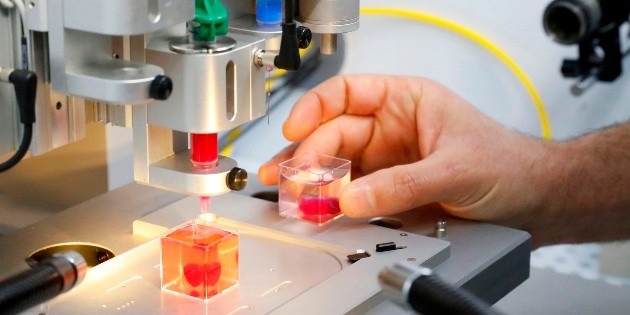Cient&iacute;ficos israel&iacute;es presentan coraz&oacute;n impreso en 3D a partir de tejidos humanos