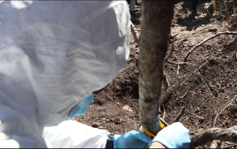 La búsqueda de cuerpos comenzó el pasado 4 de abril debido a una averiguación por la desaparición de dos personas. EFE / ARCHIVO