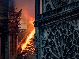 Personalidades lamentan incendio en Notre Dame