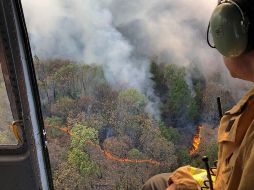 El Sistema de Detección Temprana de Incendios abarca 50 % del Área Natural Protegida. NOTIMEX/Archivo