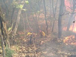 Personal de Bomberos Zapopan envía elementos para la zona. No obstante, la Unidad Estatal de Protección Civil y Bomberos mantiene a todo su personal enfocado en este momento en el combate del incendio en el vertedero Los Laureles. TWITTER/ @ReporteForestal
