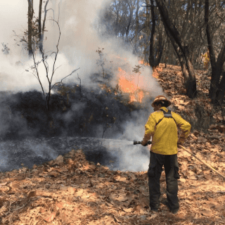 Extinguen los dos incendios ocurridos este miércoles en La Primavera
