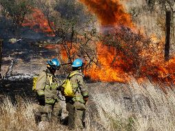 Refieren que del 1 de enero al 11 de abril se ha registrado dos mil 538 incendios en México, a diferencia de los tres mil 317 registrados en el mismo periodo del año pasado. EL INFORMADOR / ARCHIVO