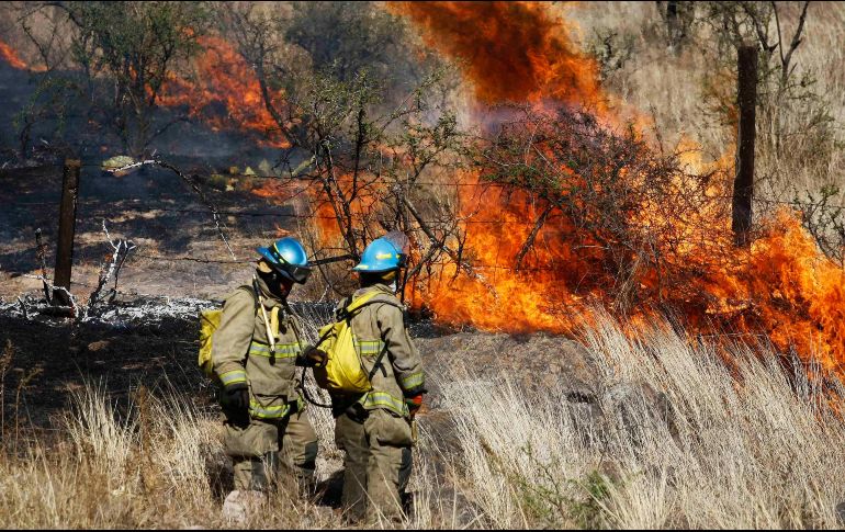 Refieren que del 1 de enero al 11 de abril se ha registrado dos mil 538 incendios en México, a diferencia de los tres mil 317 registrados en el mismo periodo del año pasado. EL INFORMADOR / ARCHIVO