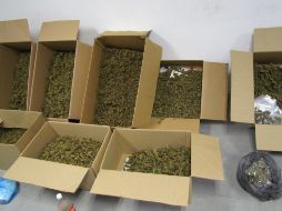Policías aseguraron 47 paquetes con hierba verde con las características de la mariguana, que arrojaron un peso aproximado de 429 kilogramos. EL INFORMADOR/ARCHIVO