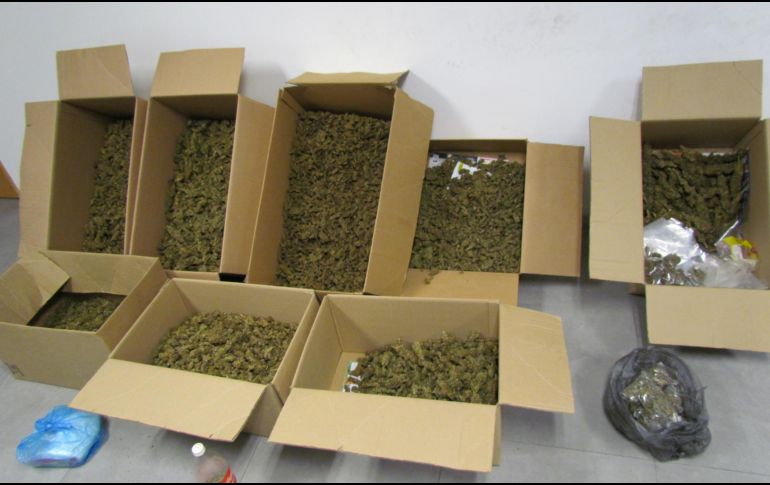 Policías aseguraron 47 paquetes con hierba verde con las características de la mariguana, que arrojaron un peso aproximado de 429 kilogramos. EL INFORMADOR/ARCHIVO