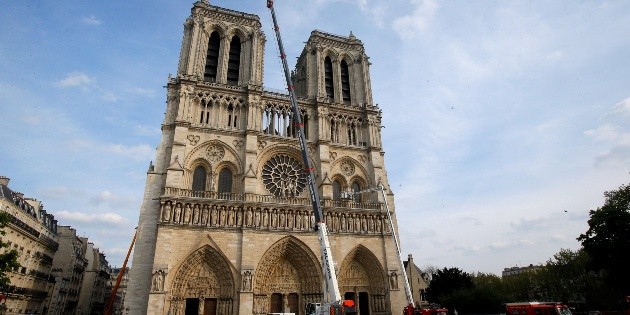 Abejas de Notre Dame sobreviven a incendio