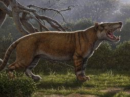 Reconstrucción facilitada por el Museo Nacional de Nairobi, de la nueva especie de mamífero gigante que pobló la Tierra hace unos 22 millones de años. EFE/ M. Anton
