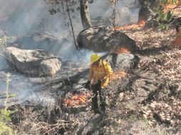 Un brigadista trata de sofocar el fuego en el Cerro de El Taray, uno de los cuatro incendios que ayer afectaron zonas boscosas del municipio de Zapopan. ESPECIAL