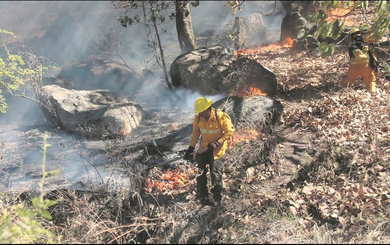 Un brigadista trata de sofocar el fuego en el Cerro de El Taray, uno de los cuatro incendios que ayer afectaron zonas boscosas del municipio de Zapopan. ESPECIAL
