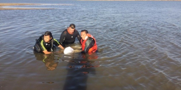 Localizan a joven ahogado en Ojuelos