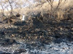 El incendio afectó un área aproximada de dos hectáreas en la zona forestal del poblado de San Miguel Tateposco. ESPECIAL
