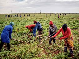 De acuerdo con las más recientes estimaciones del FMI, el crecimiento mundial se desacelerará de 3.6% en 2018 a 3.3% en 2019. AFP/L. Sola