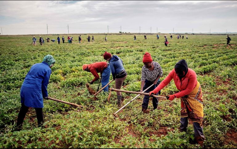 De acuerdo con las más recientes estimaciones del FMI, el crecimiento mundial se desacelerará de 3.6% en 2018 a 3.3% en 2019. AFP/L. Sola