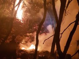 El incendio se declaró extinguido a la 1:00 horas de este lunes. TWITTER / @ReporteForestal