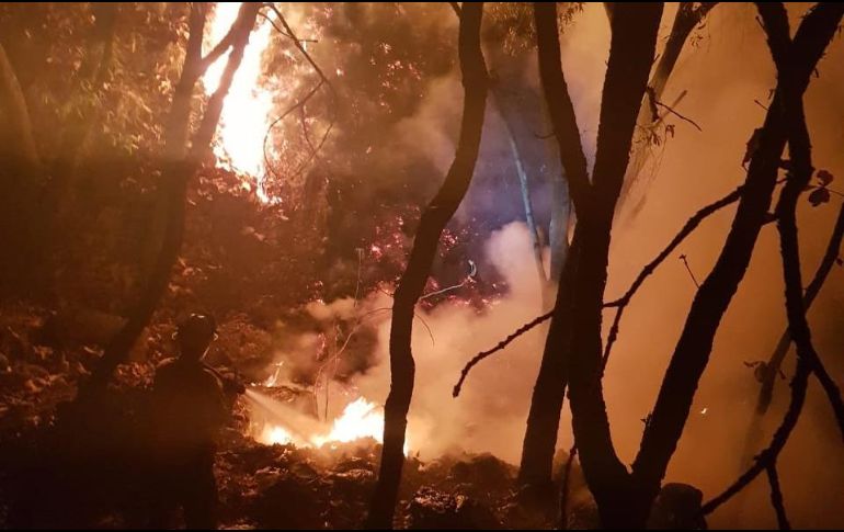 El incendio se declaró extinguido a la 1:00 horas de este lunes. TWITTER / @ReporteForestal
