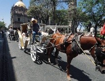 El Ayuntamiento de Guadalajara estableció las calandrias deben suspender sus actividades cuando la temperatura supere los 32 grados. EL INFORMADOR / G. Gallo