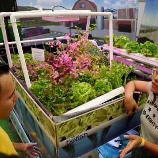 Tecnología y jóvenes, un binomio indispensable para mejorar el campo mexicano