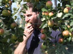 Manzanas, duraznos, zanahorias y chícharos, entre los alimentos adecuados para que la enfermedad renal no se complique. AP / ARCHIVO