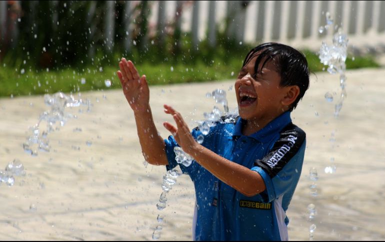 El agua es vital en la digestión, absorción y excreción, además tiene una participación importante en la estructura y función del sistema circulatorio para transportar nutrientes y otras sustancias. NTX / ARCHIVO