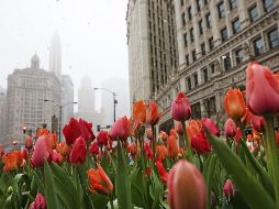 Chicago vive una extraña tormenta invernal el último fin de semana de abril