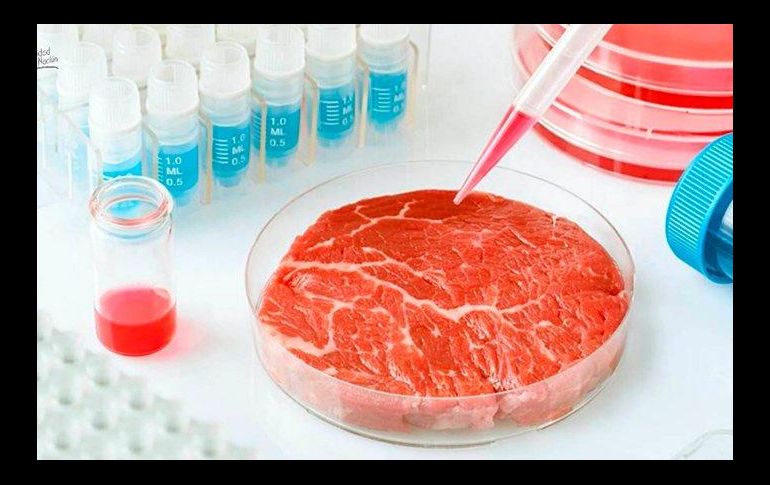 Hasta ahora se han elaborado tres hamburguesas de res cultivando células satelitales de tejido muscular de bovino.  TWITTER / @emeequis