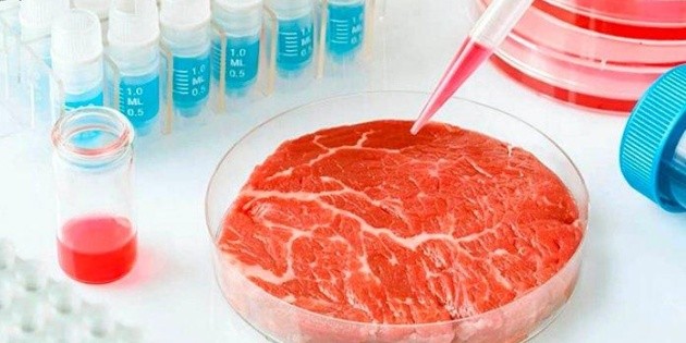 Carne cultivada "in vitro" experimento importante para alimentaci&oacute;n futura