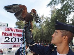 Disfrutan de paseo dominical en la V Base Aérea Militar