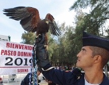 Disfrutan de paseo dominical en la V Base Aérea Militar