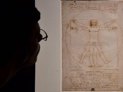 El pelo de este genio universal será mostrado por primera vez en una rueda de prensa en Vinci el próximo 2 de mayo, día en el que se conmemorarán los quinientos años de su muerte en 1519 en Francia. AFP / ARCHIVO