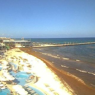 El sargazo regresa a playas de Quintana Roo