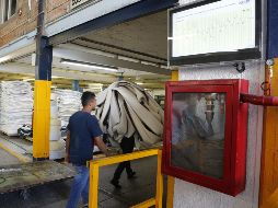 Para la OCDE es importante que se considere que la inversión se mantiene baja, reflejando la incertidumbre por la política doméstica y la externa. EL INFORMADOR/ ARCHIVO