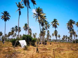 Las osamentas encontradas ya se van a trabajar con el Protocolo de Tratamiento e Identificación Forense, para determinar su identidad, sexo, edad, entre otros datos. TWITTER / @ContextoColima