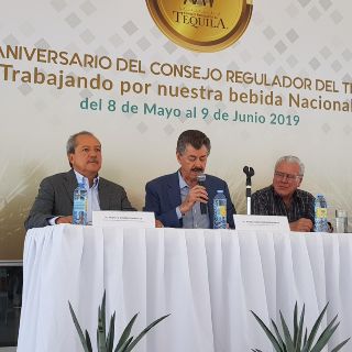 Garantizan agave suficiente para producción de tequila