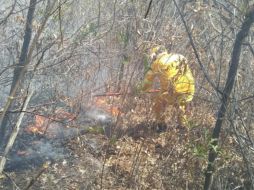 Autoridades exhortan a la población a mantenerse atenta de las recomendaciones de las autoridades ante cualquier reporte de incendio. ESPECIAL/Protección Civil Jalisco