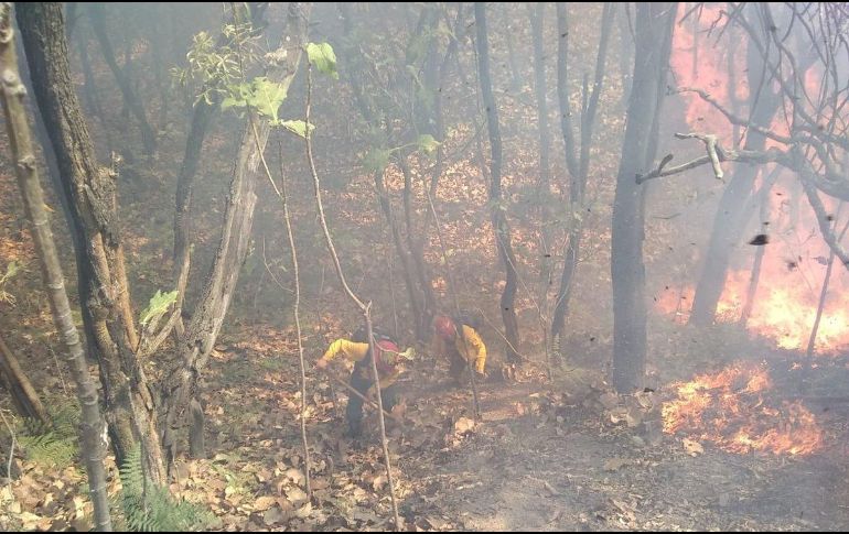 El gobierno de Guatemala no ha descartado solicitar ayuda a México y Honduras. ARCHIVO / EL INFORMADOR