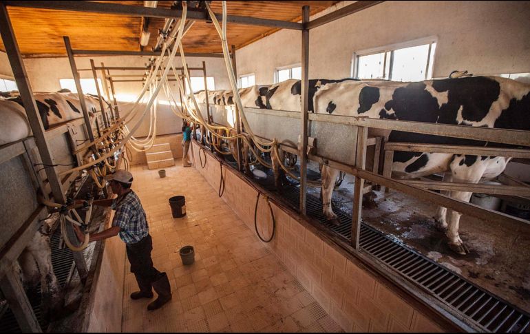 Empresas dedicadas a los agronegocios pueden adquirir equipo para aumentar su producción mediante el arrendamiento. EL INFORMADOR/Archivo