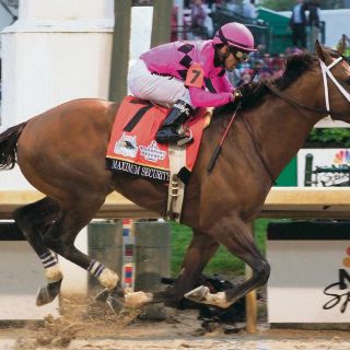 Descalificado del Derby no irá al Preakness