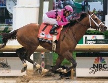 Sin oportunidad de ganar la Triple Corona, “Maximum Security” se hace a un lado. AFP