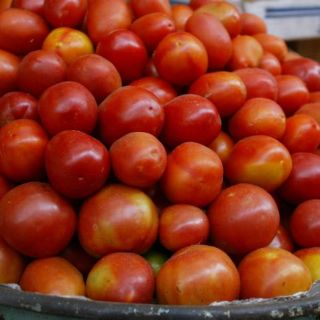 Decepciona a México que EU no quiso negociar acuerdo de jitomate