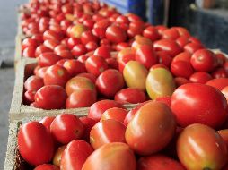 El Departamento de Comercio de EU anunció en marzo que pondría fin a un acuerdo de suspensión vigente desde 2013 bajo el cual los productores mexicanos prometían vender a precio justo. EL INFORMADOR / ARCHIVO