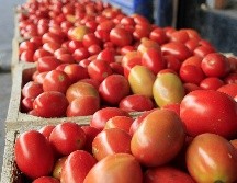 El Departamento de Comercio de EU anunció en marzo que pondría fin a un acuerdo de suspensión vigente desde 2013 bajo el cual los productores mexicanos prometían vender a precio justo. EL INFORMADOR / ARCHIVO