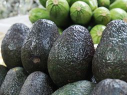 Aún en una misma cadena de tiendas, el producto llega a venderse con diferencias de 10 pesos de una tienda a otra. NTX / ARCHIVO