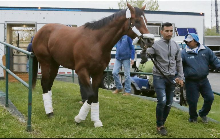 “Country House” será el primer ejemplar en 23 años en ganar en Kentucky y no correr el Preakness. AP / J. Cortez