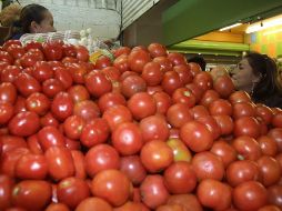 López Obrador menciona que la decisión de gravar con arancel el jitomate está vinculada a la política, ya que hay elecciones en EU. EL INFORMADOR / ARCHIVO