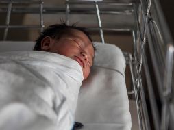 Aseguran que las uniones familiares homoparentales deben ser protegidas en igualdad de condiciones que cualquier otra forma de familia. EL INFORMADOR/ARCHIVO