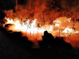 El incendio afectó a más de 20 hectáreas, el parque contiene más de 400 hectáreas y es una de las reservas más importantes de Michoacán. TWITTER / @Portal_Mich