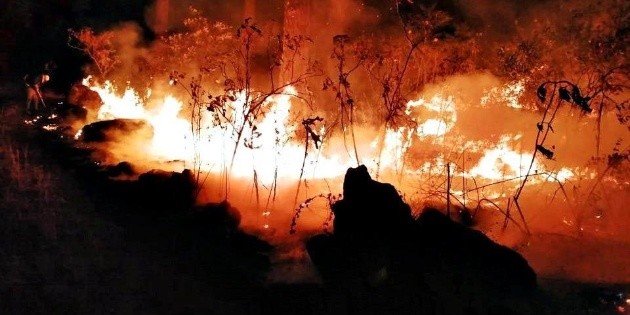 Incendio del Parque Nacional de Uruapan es reportado como intencional